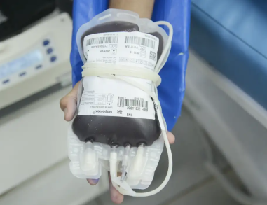 Aplicativo facilitará doações de sangue no Brasil