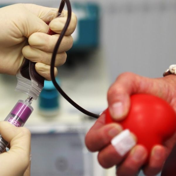 Previsão de queda nos estoques de sangue preocupa Hemorio