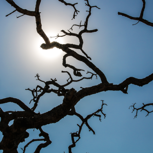 Brasil registra recorde da temperatura média pelo quarto mês seguido