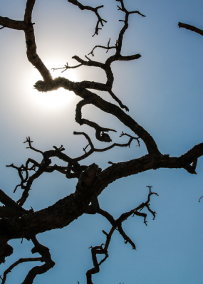 Brasil registra recorde da temperatura média pelo quarto mês seguido